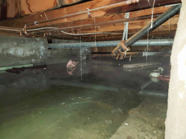 Local water damage restoration in Cleora, OK