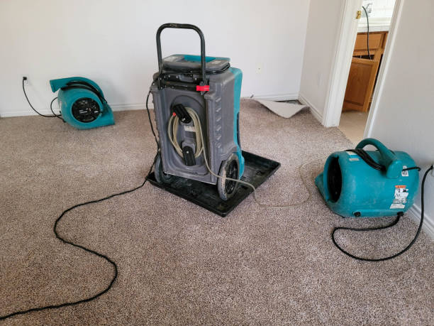 Best Water damage repair service  in Cleora, OK