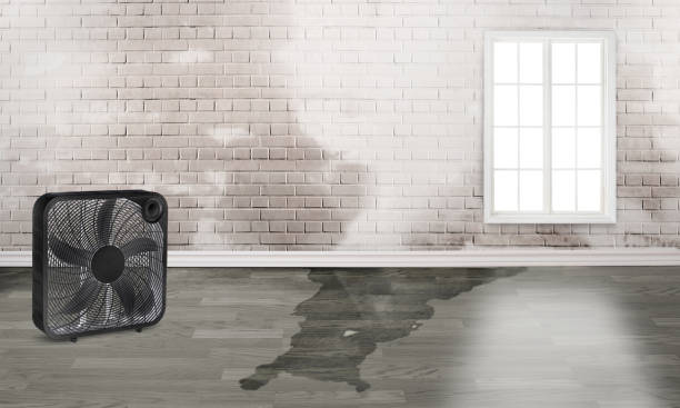 Best Ceiling water damage repair  in Cleora, OK