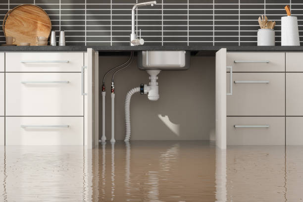Best Flooded house restoration  in Cleora, OK