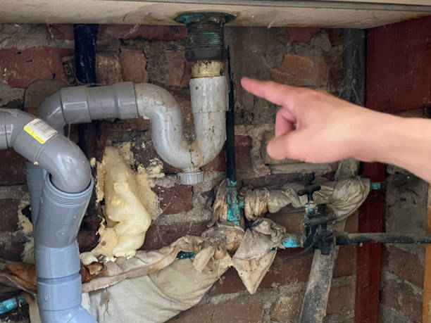 Best Flood damage cleanup  in Cleora, OK